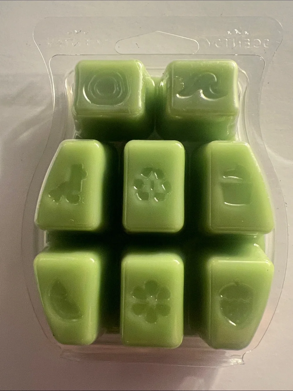 Scentsy Bamboo & Rainfall Wax Bar - Green